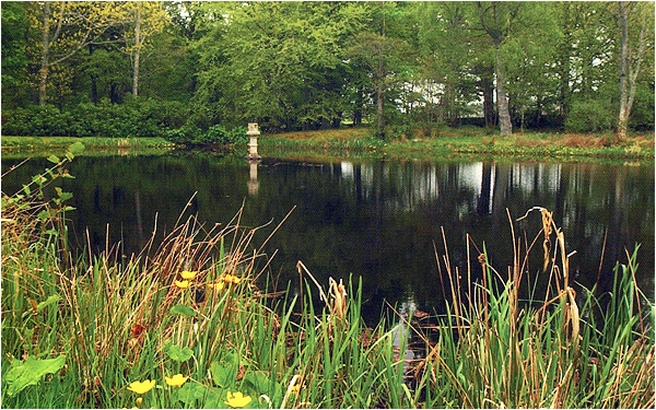 gledfield-lake