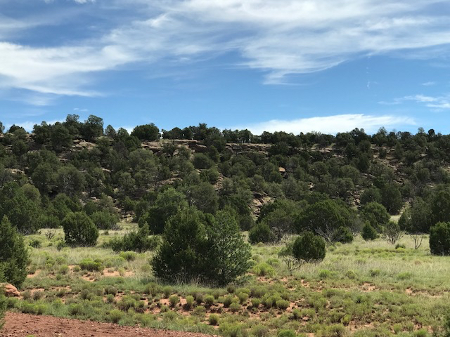 RDR - CANYON WALL
