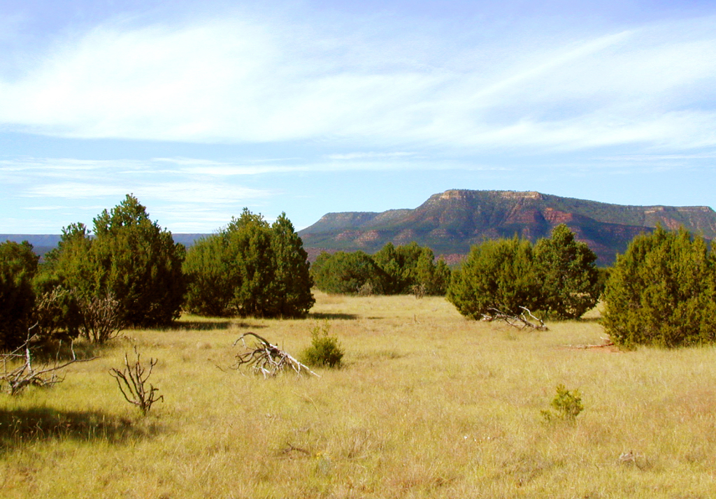 Ranchos del Rito 1