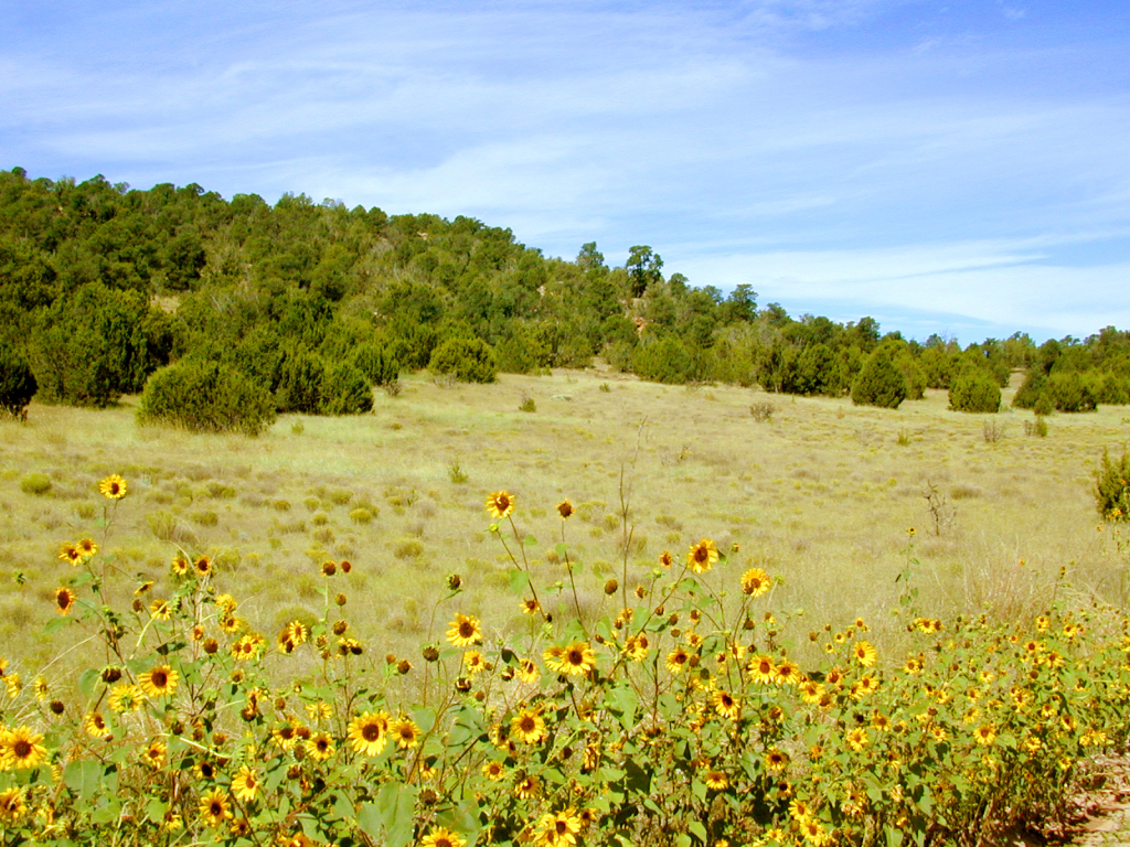 Ranchos del Rito 3